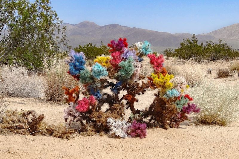 Death Valley - Californie - États-Unis