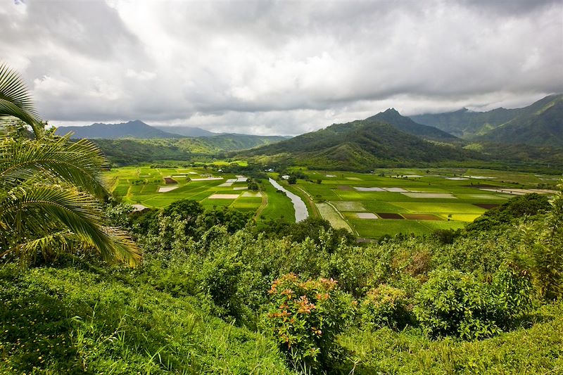 Road trip d'Hawaï à Kauai