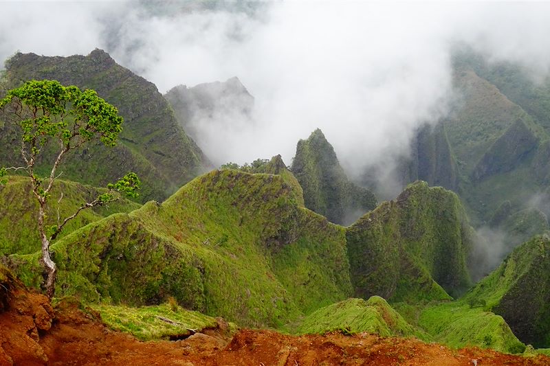 Road trip d'Hawaï à Kauai