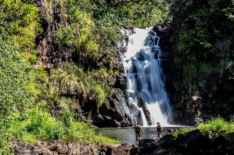 Road trip d'Hawaï à Kauai