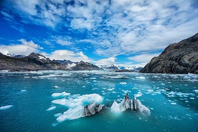 voyage Prince William Sound