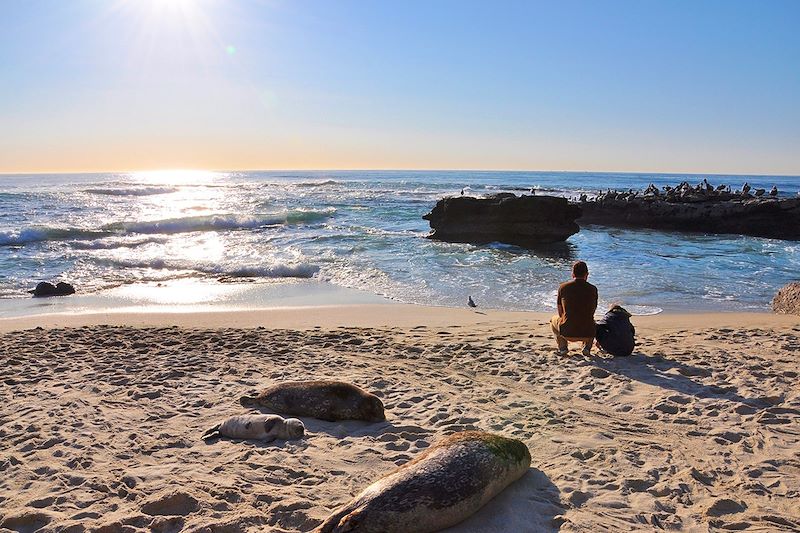 La Jolla Cove - San Diego - Californie - États-Unis