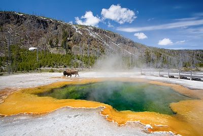 Like a Yellowstone !  4
