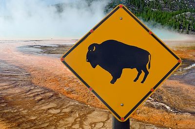 Like a Yellowstone !  2
