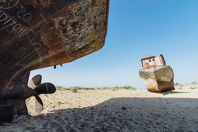 De la mer d'Aral aux cités de la soie  3
