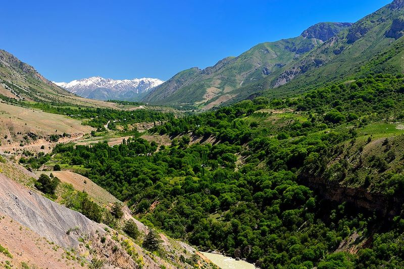 Parc national d'Ugam-Chatkal - Ouzbékistan