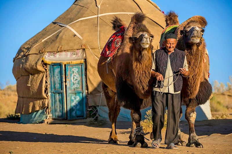 Chamelier dans un camp de yourtes dans les environs de Nourata - Ouzbekistan