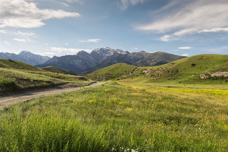 Majestueuses coupoles & prairies nomades