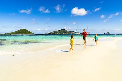 Le Coeur Grenadines, l'intégrale ! 4