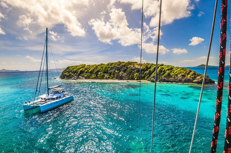 Le Coeur Grenadines, l'intégrale !