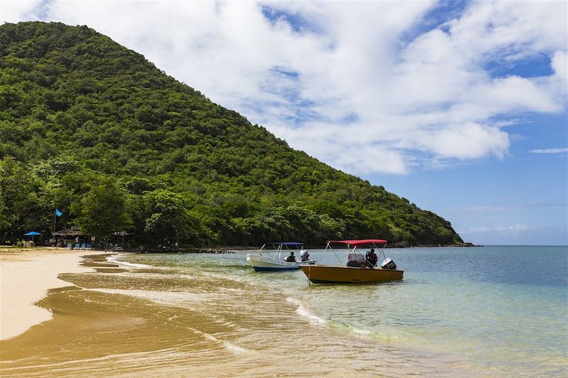 Le Coeur Grenadines 