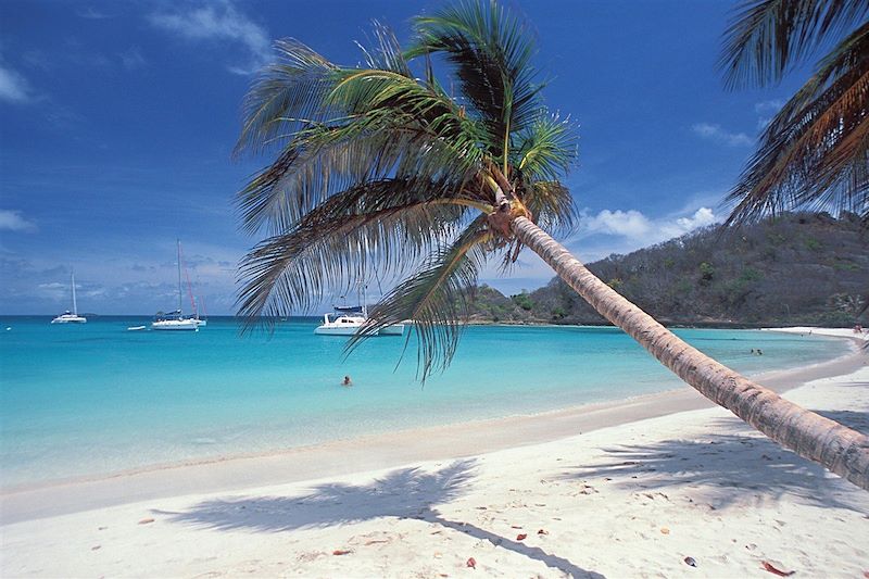 Le Coeur Grenadines 