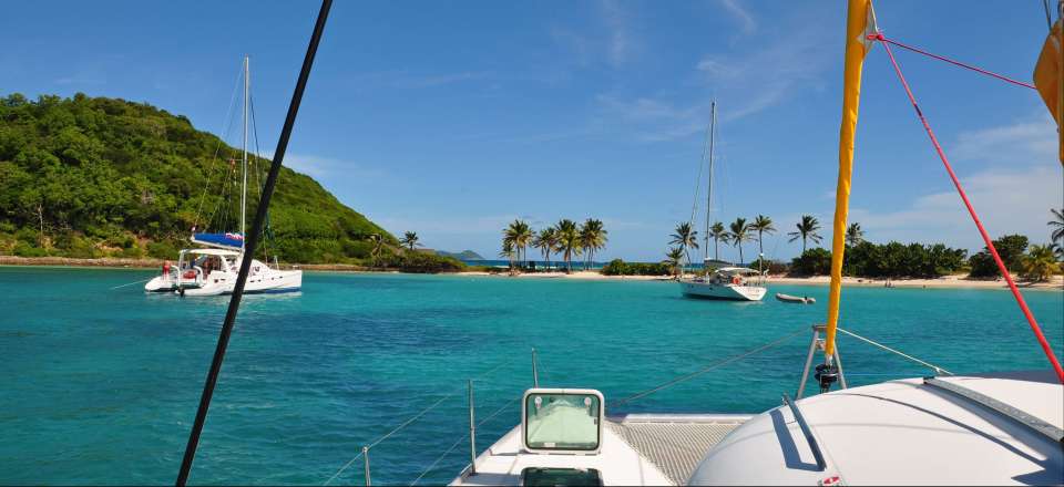 iles grenadines catamaran