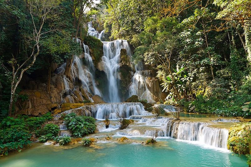 Chutes de Kuang Si - Luang Prabang - Laos