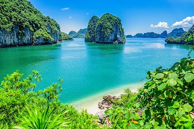 Voyage Vietnam