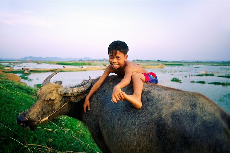 Enfant à dos de buffle - Vietnam