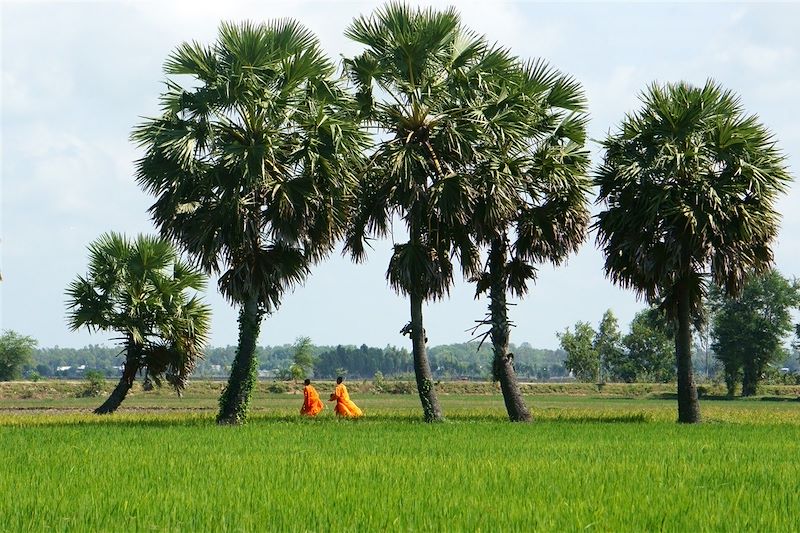 Le grand tour du Vietnam