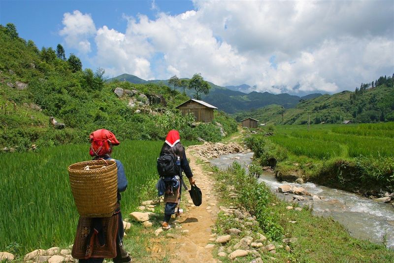 Randonnée dans la région de Sapa - Vietnam