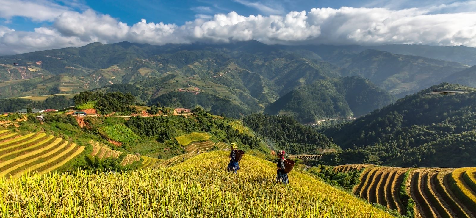 Voyage à vélo - 1,2,3... Pho sur le Vietnam !