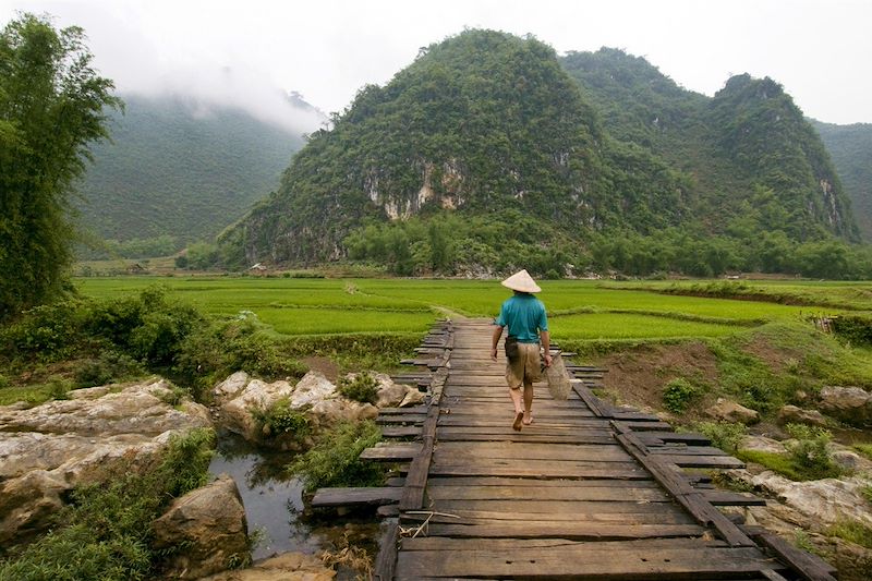 Balades Vietnamiennes et baies d'Halong! 