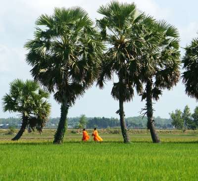 voyage Vietnam