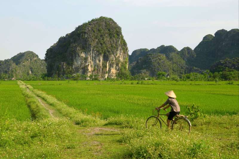 Balades Vietnamiennes et baies d'Halong! 