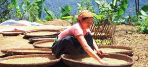 voyage Vietnam
