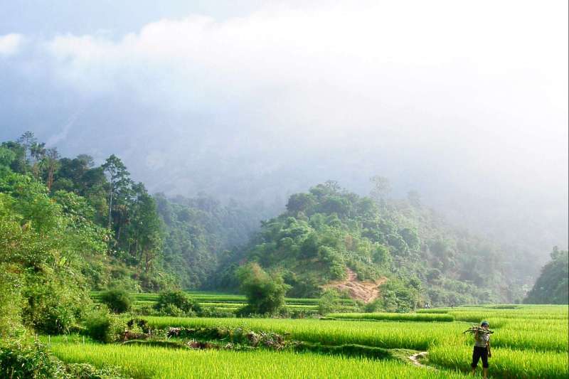 Réserve naturelle de Pu Luong - Province de Thanh Hóa - Vietnam