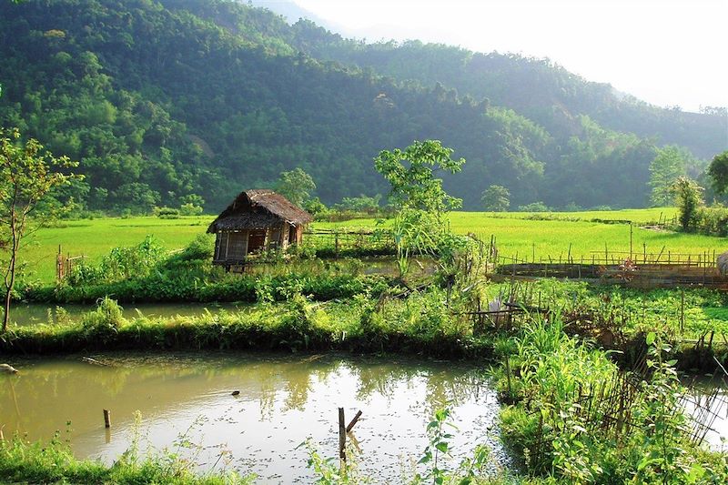 Paysage du Nord Vietnam