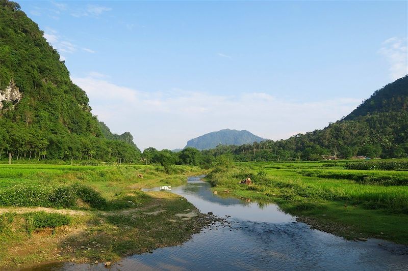 De la baie d'Halong au massif de Hoàng Su Phì