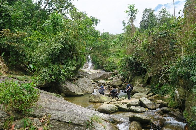 De la baie d'Halong au massif de Hoàng Su Phì