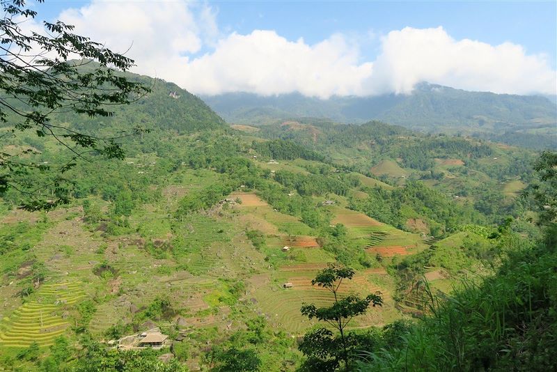 De la baie d'Halong au massif de Hoàng Su Phì