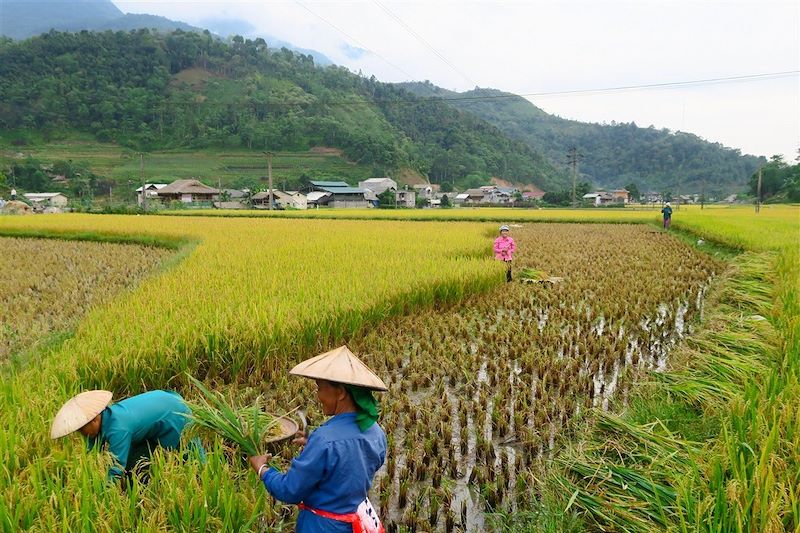 Village de Nam Choong - District de Xin Man - Trek dans la région de Ha Giang - Vietnam