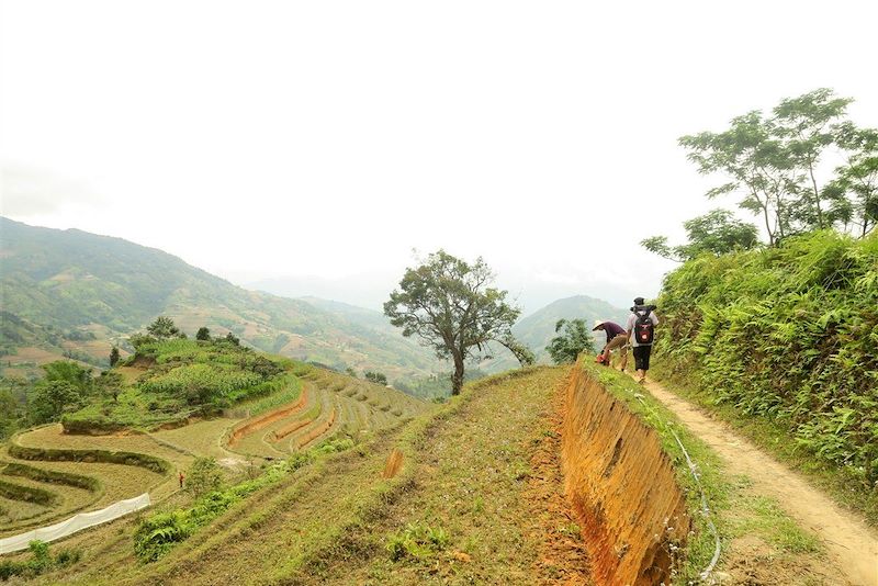 De la baie d'Halong au massif de Hoàng Su Phì