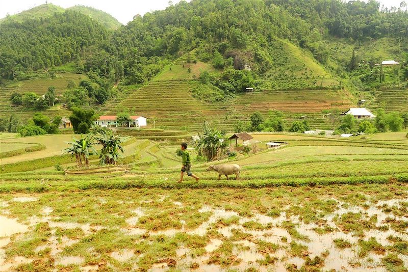 District de Hoang Su Phi - Trek dans la province de Ha Giang - Vietnam