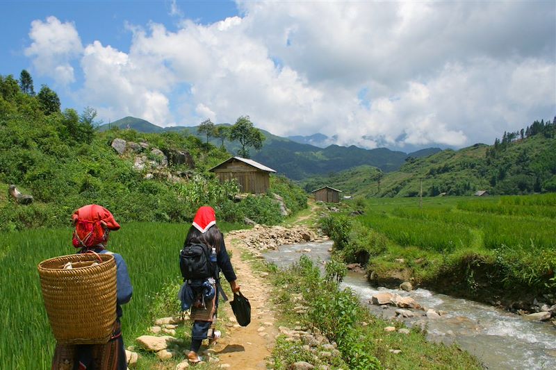 Randonnée tonkinoise et Baie d'Halong