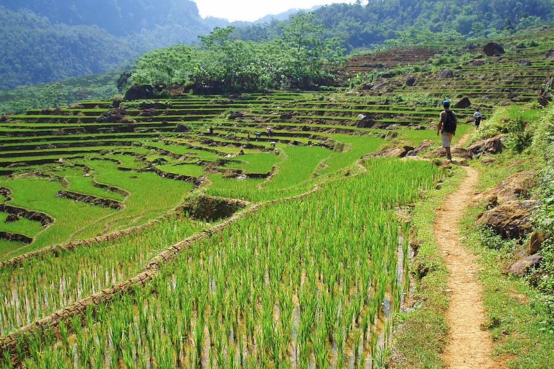 Réserve naturelle de Pu Luong - Province de Thanh Hóa - Vietnam