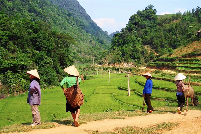 Réserve naturelle de Pu Luong - Province de Thanh Hóa - Vietnam