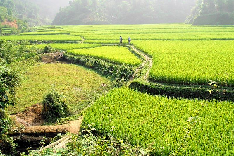 Réserve naturelle de Pu Luong - Province de Thanh Hóa - Vietnam