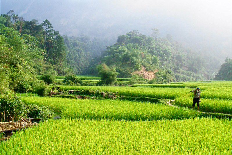 Réserve naturelle de Pu Luong - Province de Thanh Hóa - Vietnam