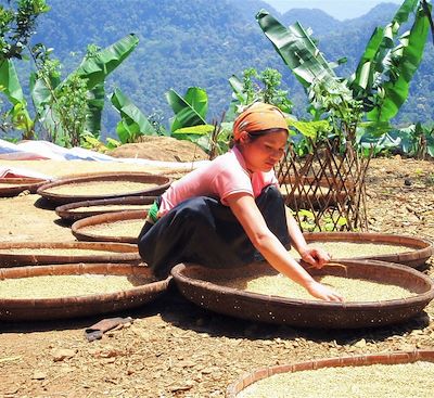 Circuits en petit groupe Vietnam