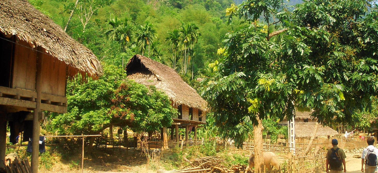 Image Randonnée tonkinoise et pagode de l'Annam