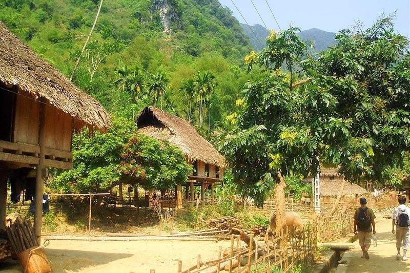 Réserve naturelle de Pu Luong - Province de Thanh Hóa - Vietnam