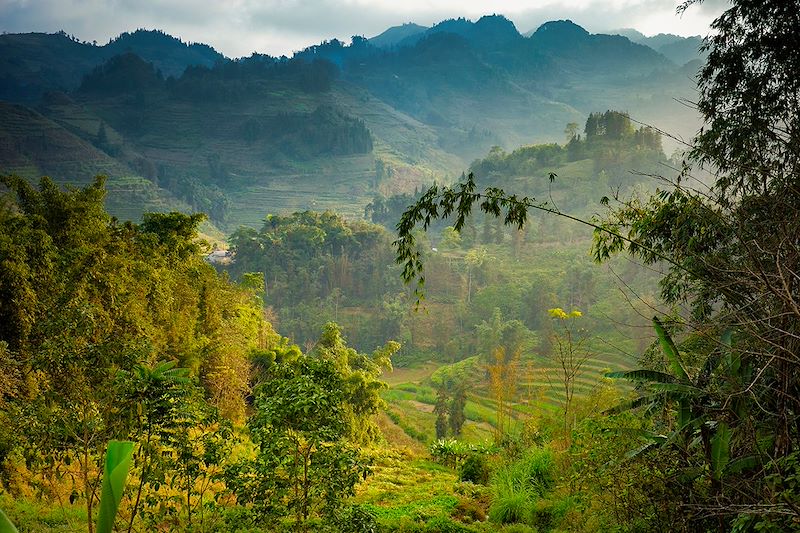 Paysage lors d'une randonnée autour de Bac Ha - Vietnam