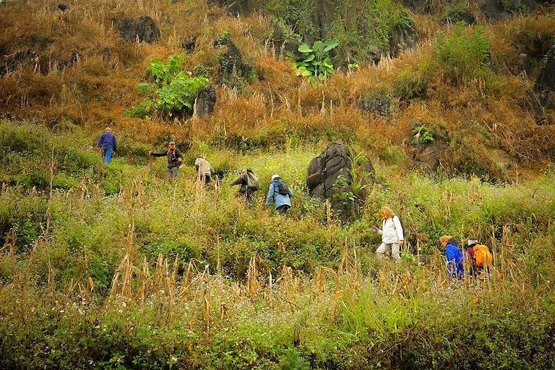 Randonnée en petit groupe autour de Bac Ha - Vietnam