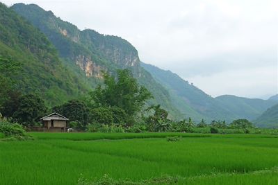 Voyage Vietnam