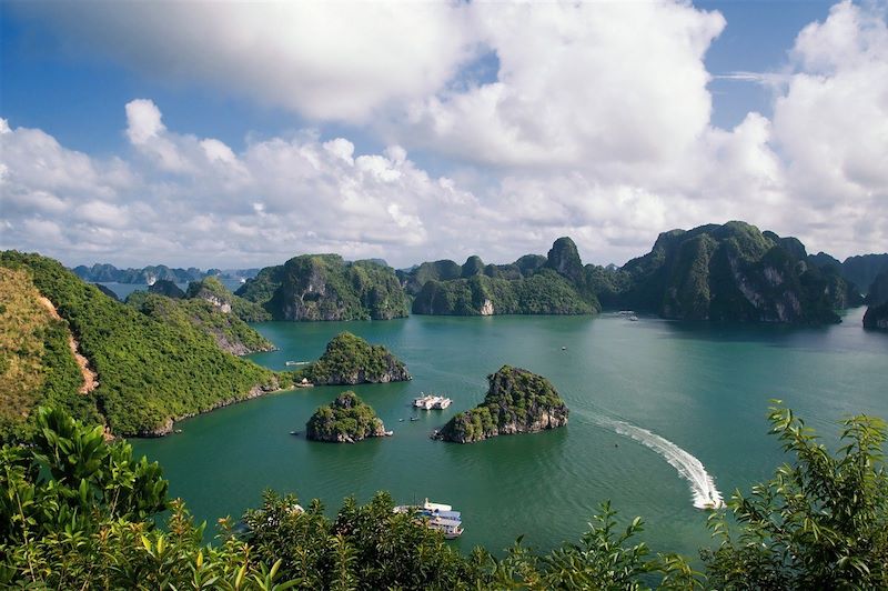 Baie d'Halong - Province de Quang Ninh - Vietnam