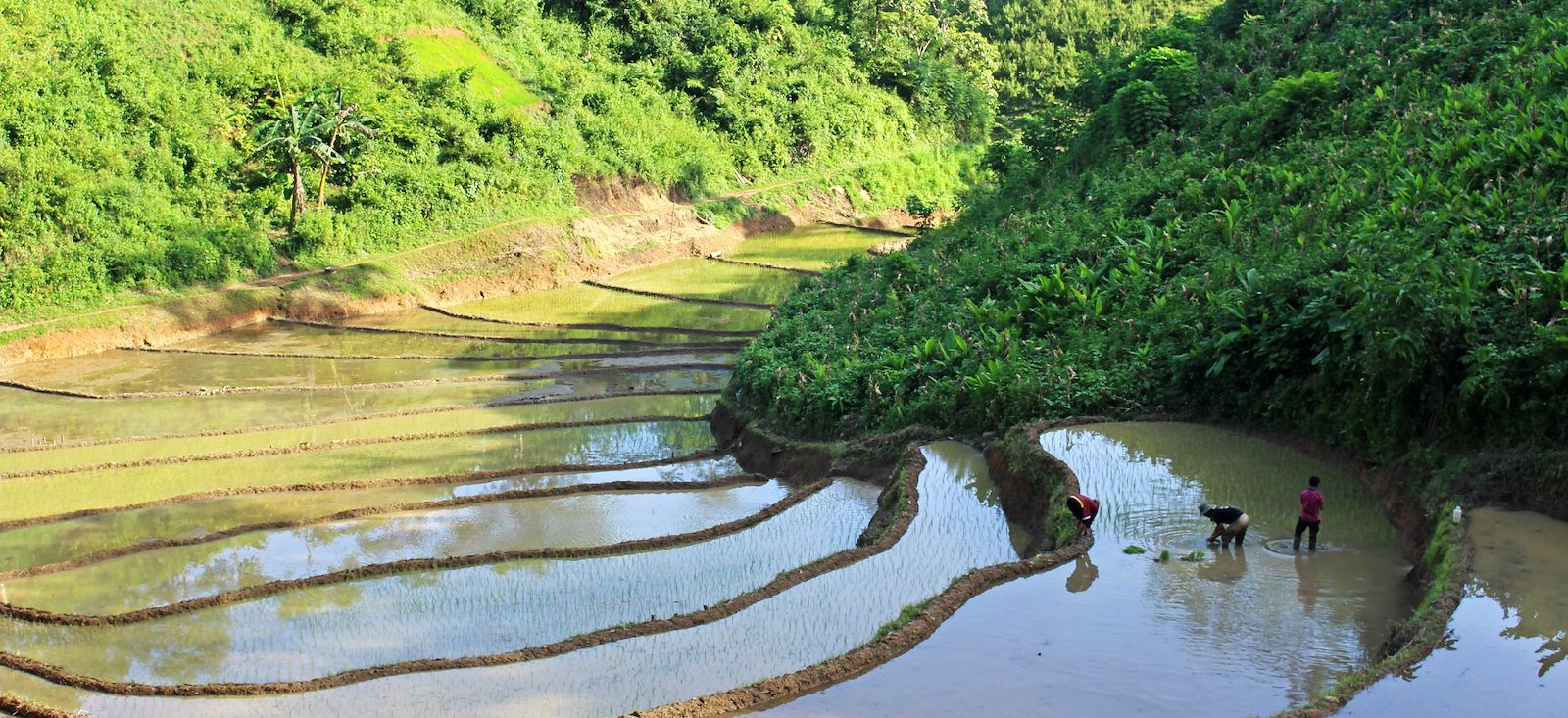 Image Rando du lac Babé aux rizières de Cao Bang