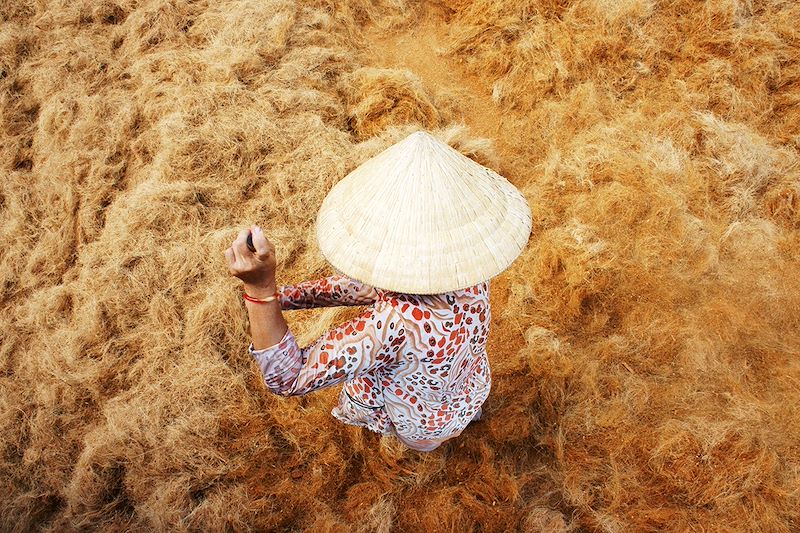 Travail de la noix de coco à Ben Tre - Delta du Mekong - Vietnam