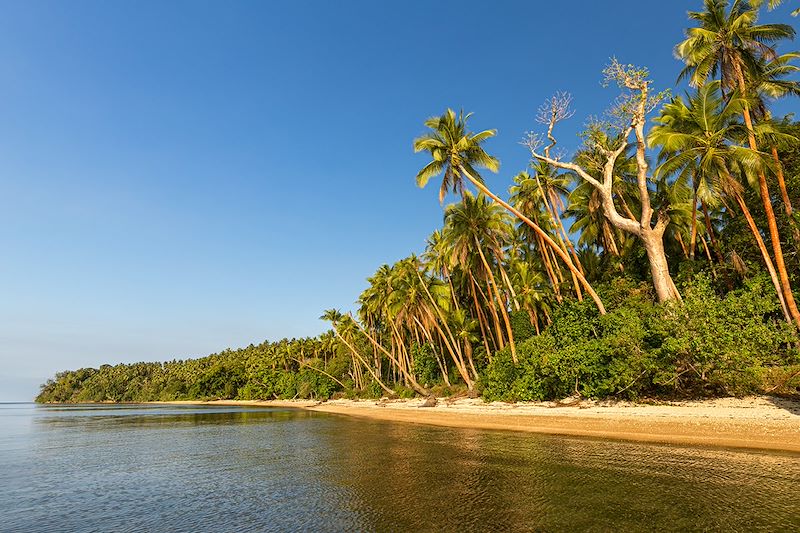 Île de Malekula (Mallicolo) - Vanuatu